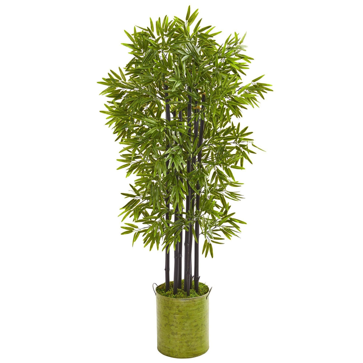 57” Bamboo Artificial Tree with Black Trunks in Green Planter (Indoor/Outdoor)-Parc Decor