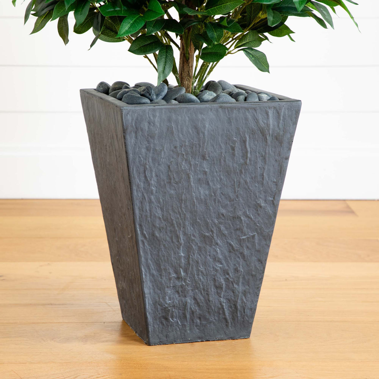 57” Bay Leaf Cone Topiary Tree in Slate Planter (Indoor/Outdoor)-Parc Decor