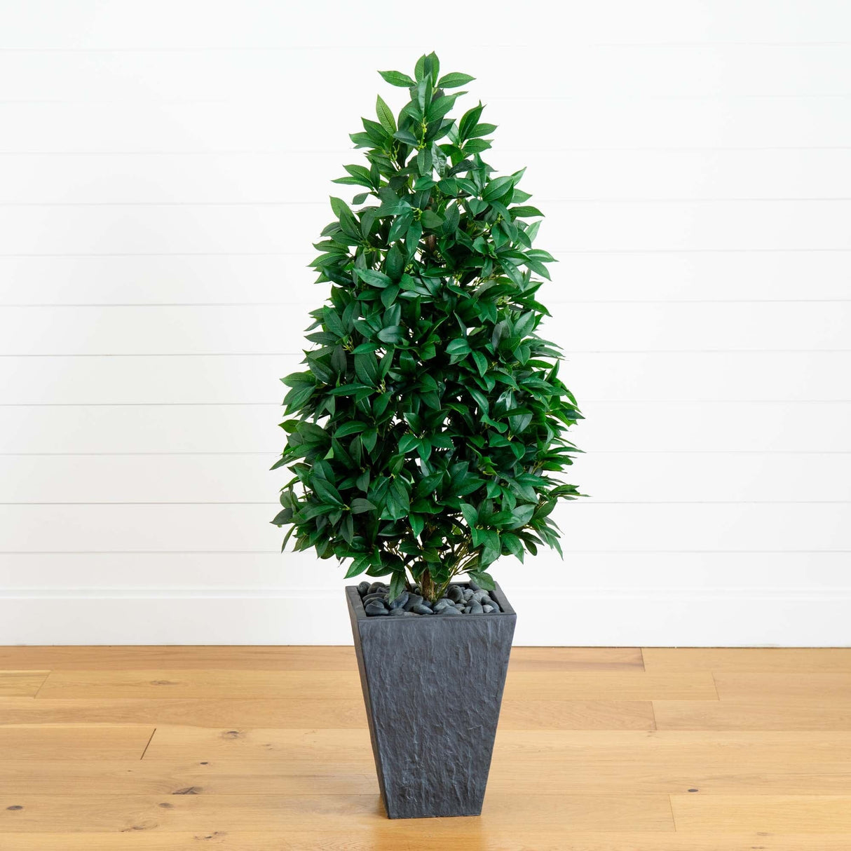 57” Bay Leaf Cone Topiary Tree in Slate Planter (Indoor/Outdoor)-Parc Decor