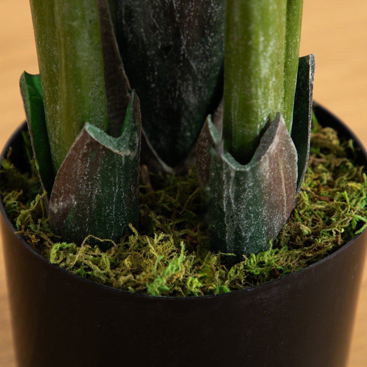 58” Traveler's Palm Artificial tree-Parc Decor