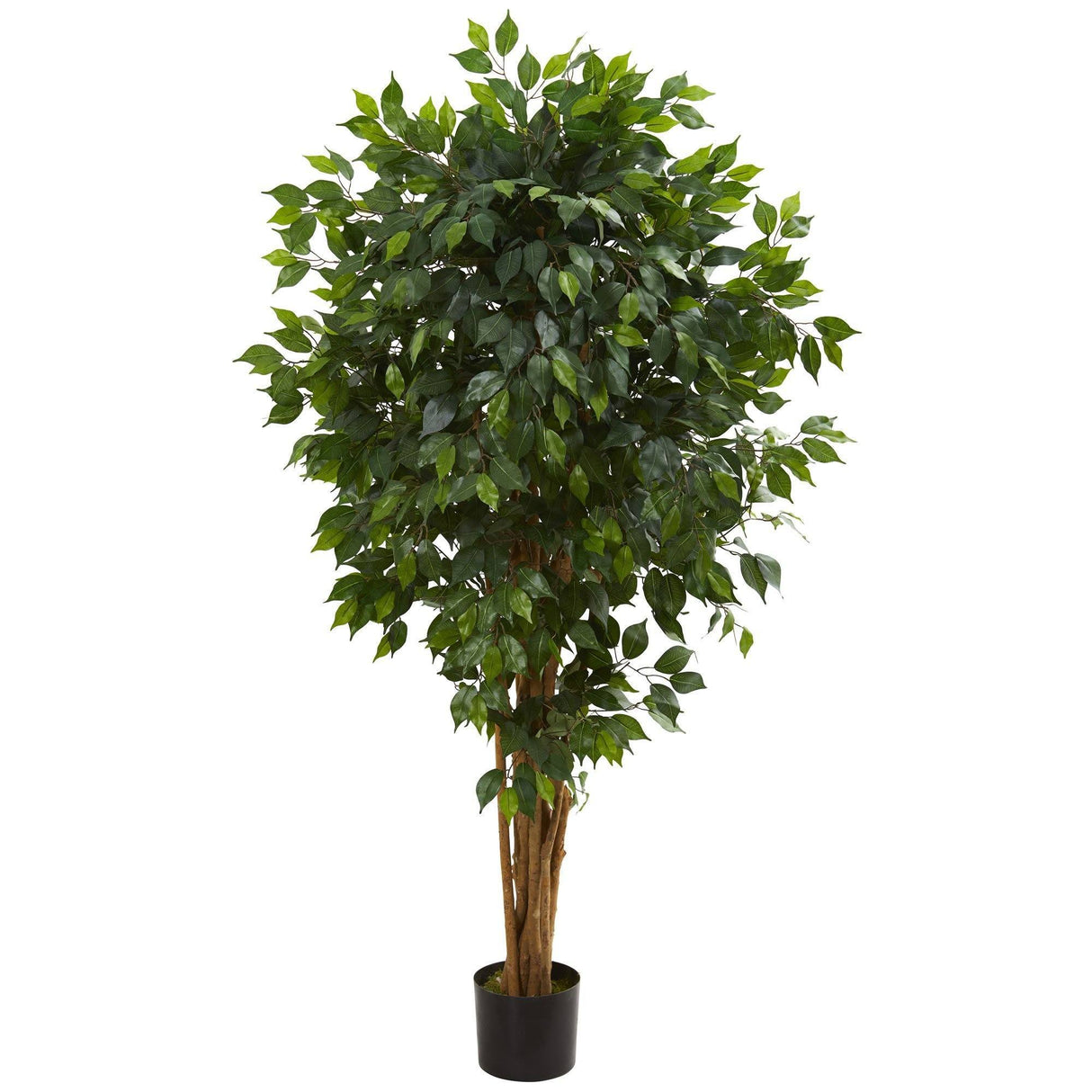 5.5’ Artificial Ficus Tree Bunched Trunks-Parc Decor