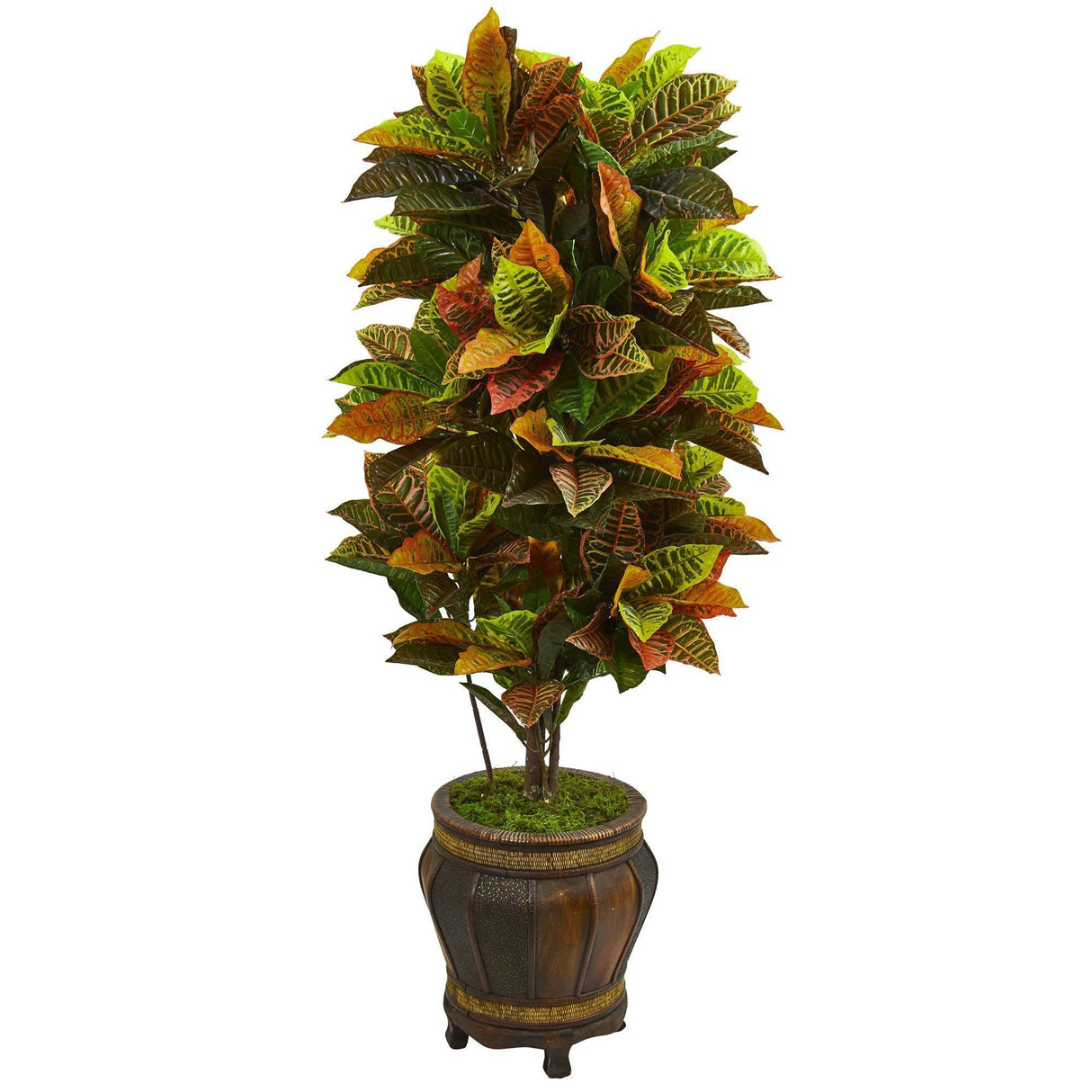 5.5’ Croton Artificial Plant in Decorative Planter (Real Touch)-Parc Decor