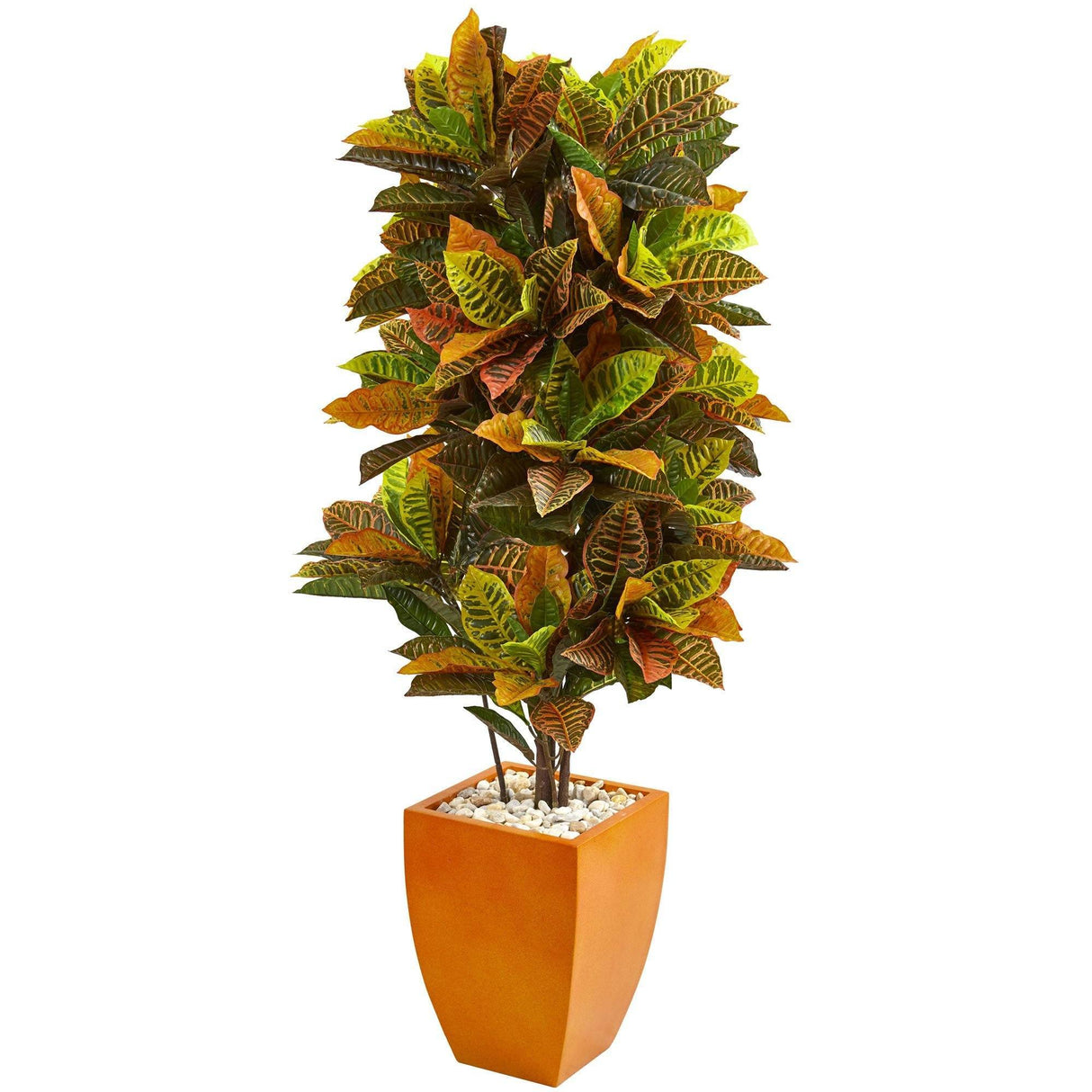 5.5’ Croton Artificial Plant in Orange Planter (Real Touch)-Parc Decor