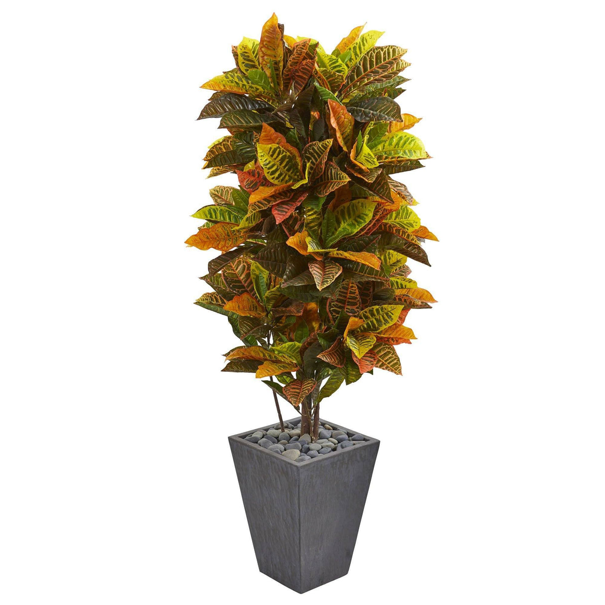 5.5’ Croton Artificial Plant in Slate Planter (Real Touch)-Parc Decor