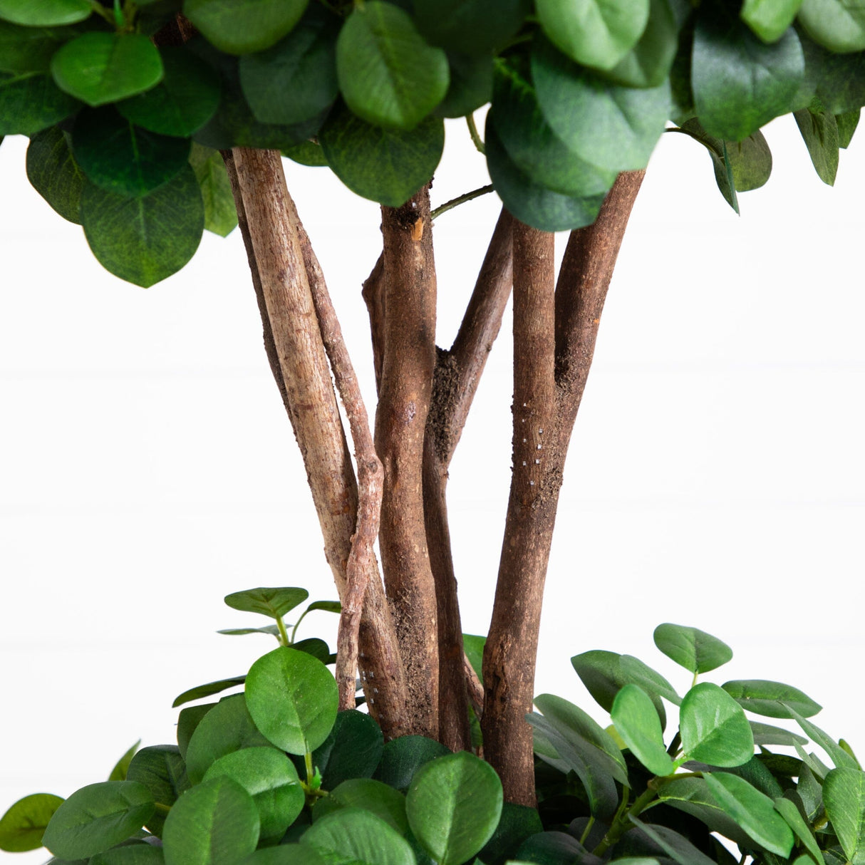 5.5' Eucalyptus Double Ball Topiary Silk Tree-Parc Decor