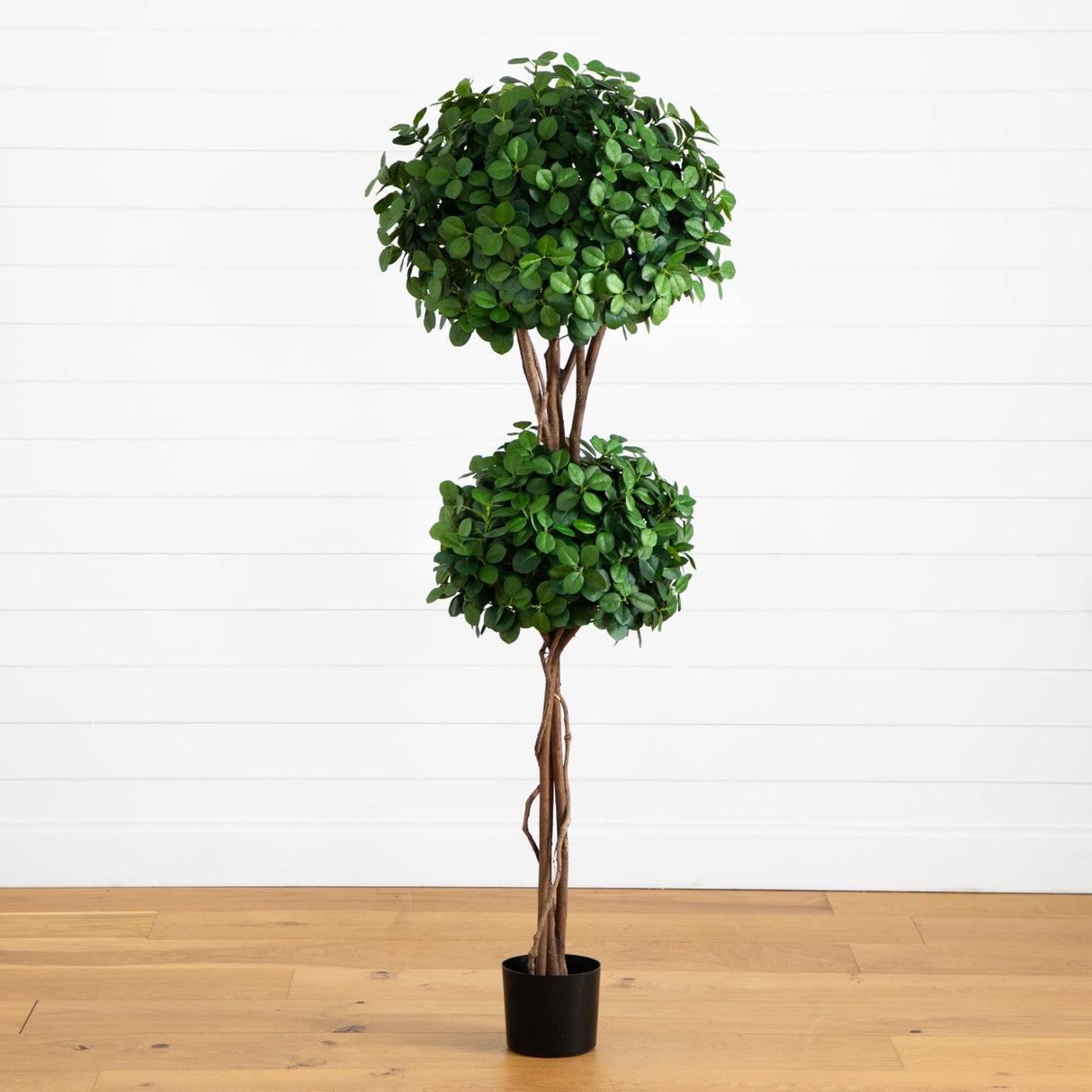 5.5' Eucalyptus Double Ball Topiary Silk Tree-Parc Decor