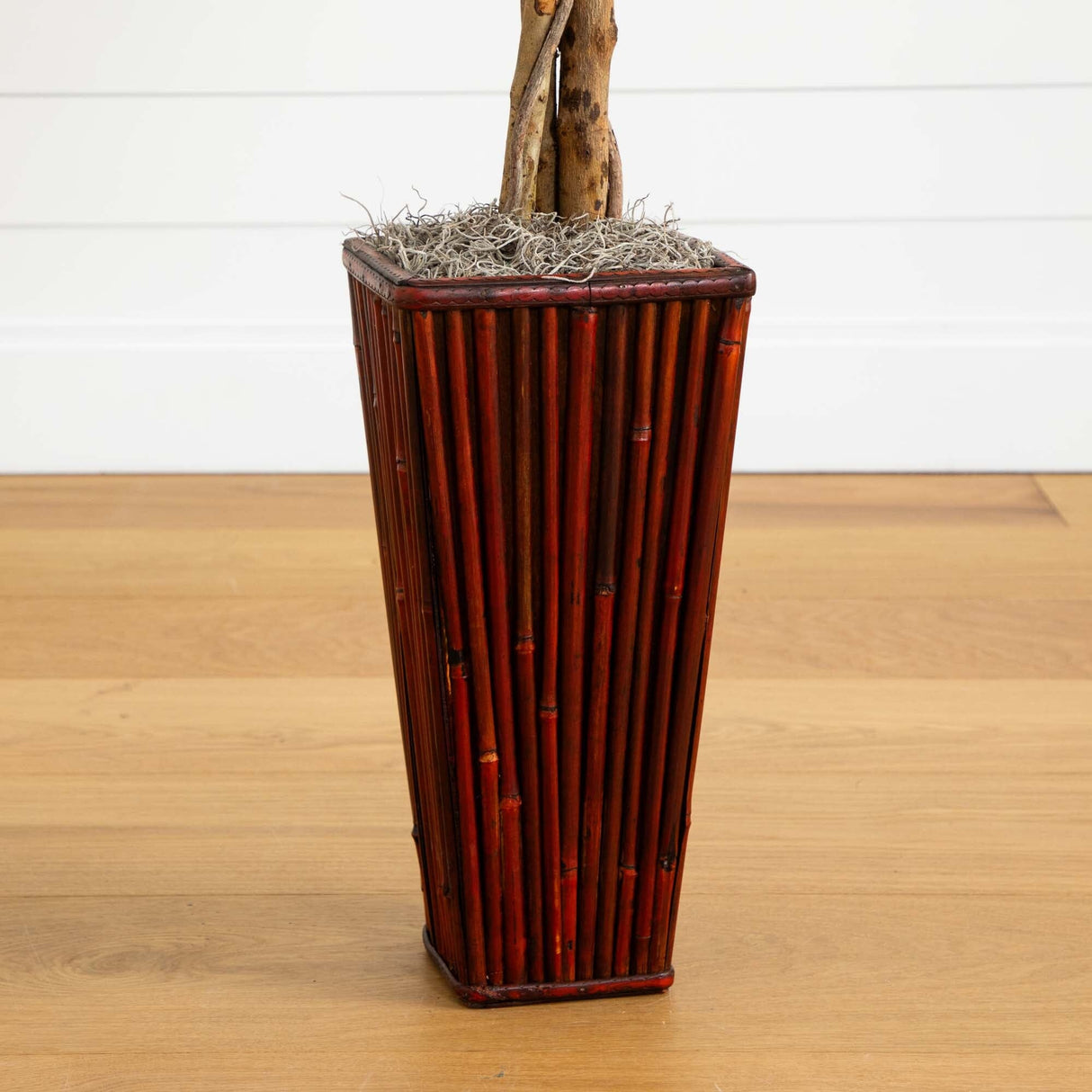 5.5’ Ficus Tree w/Bamboo Planter-Parc Decor