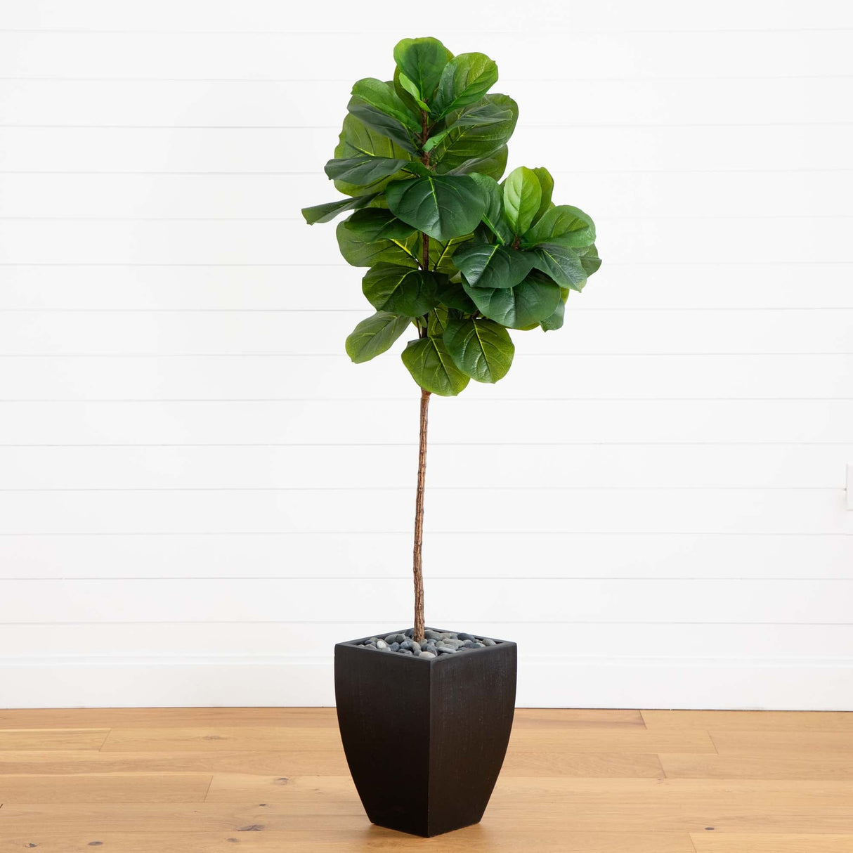5.5’ Fiddle Leaf Artificial Tree in Black Planter (Real Touch)-Parc Decor