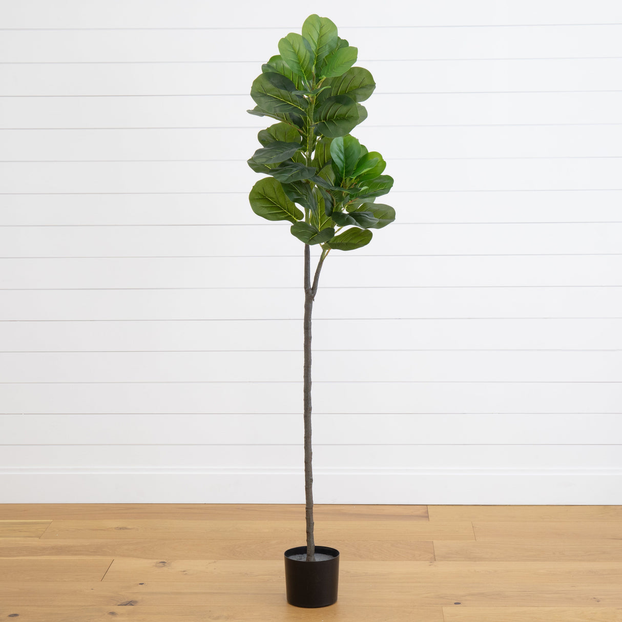 5.5’ Fiddle Leaf Fig Artificial Tree-Parc Decor