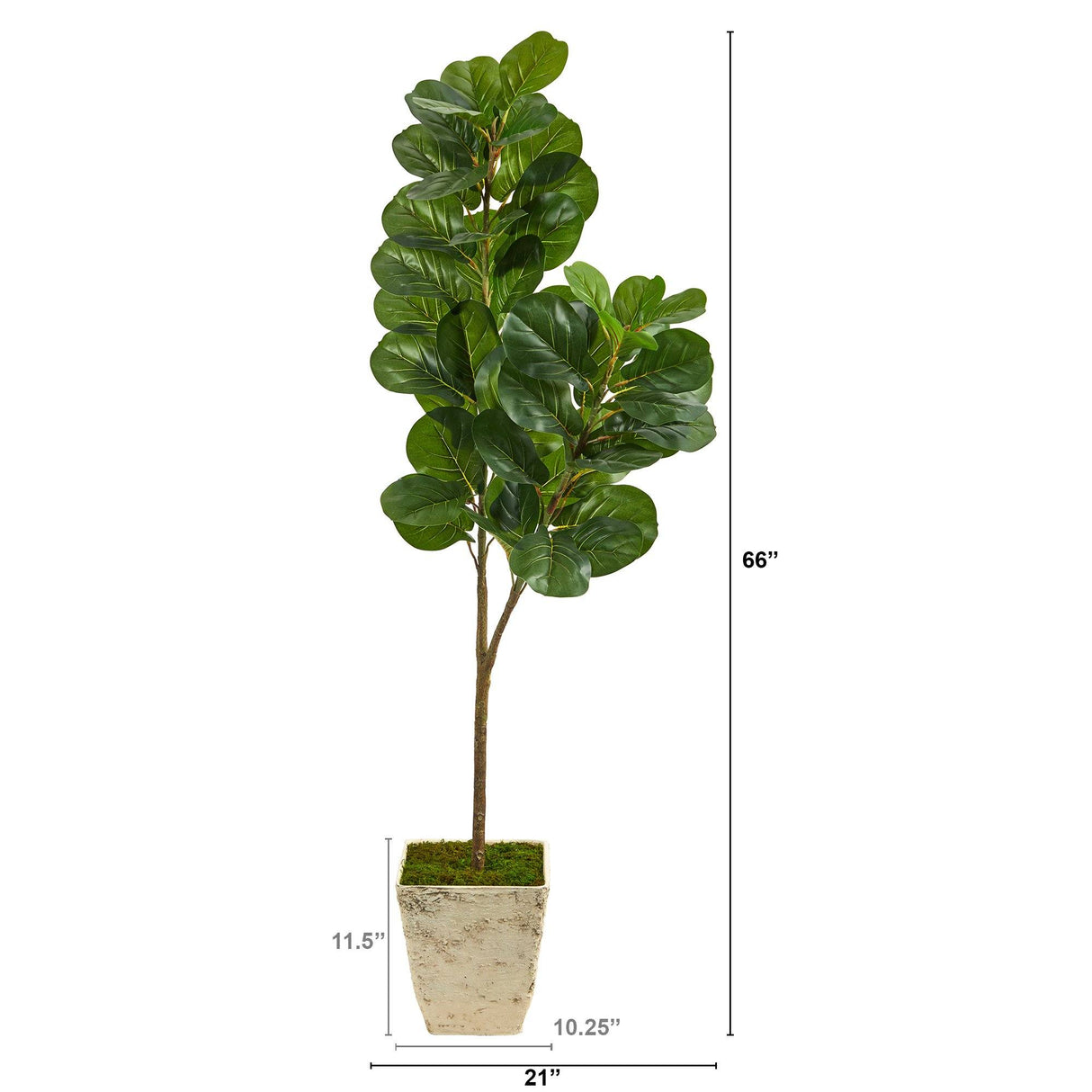 5.5’ Fiddle leaf Fig Artificial Tree in Country White Planter-Parc Decor
