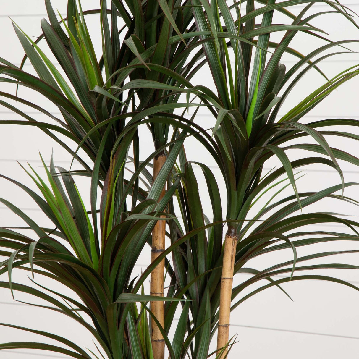 5.5’ Giant Yucca Artificial Tree UV Resistant-Parc Decor