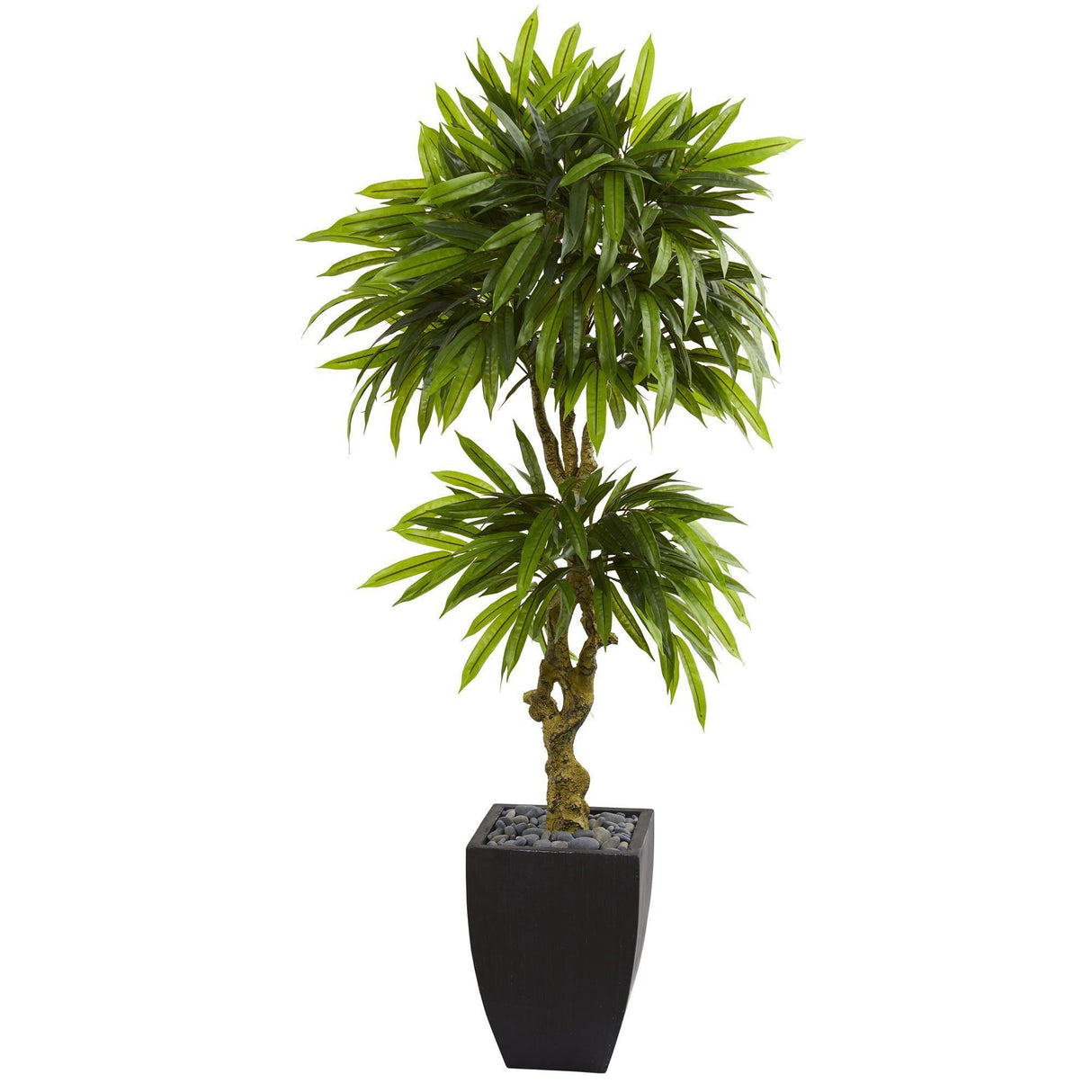 5.5’ Mango Artificial Tree in Black Wash Planter (Indoor/Outdoor)-Parc Decor