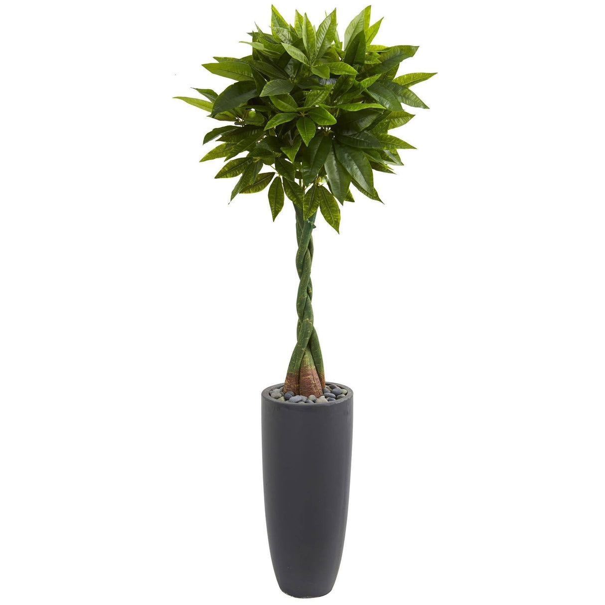 5.5’ Money Artificial Tree in Gray Cylinder Planter (Real Touch)-Parc Decor