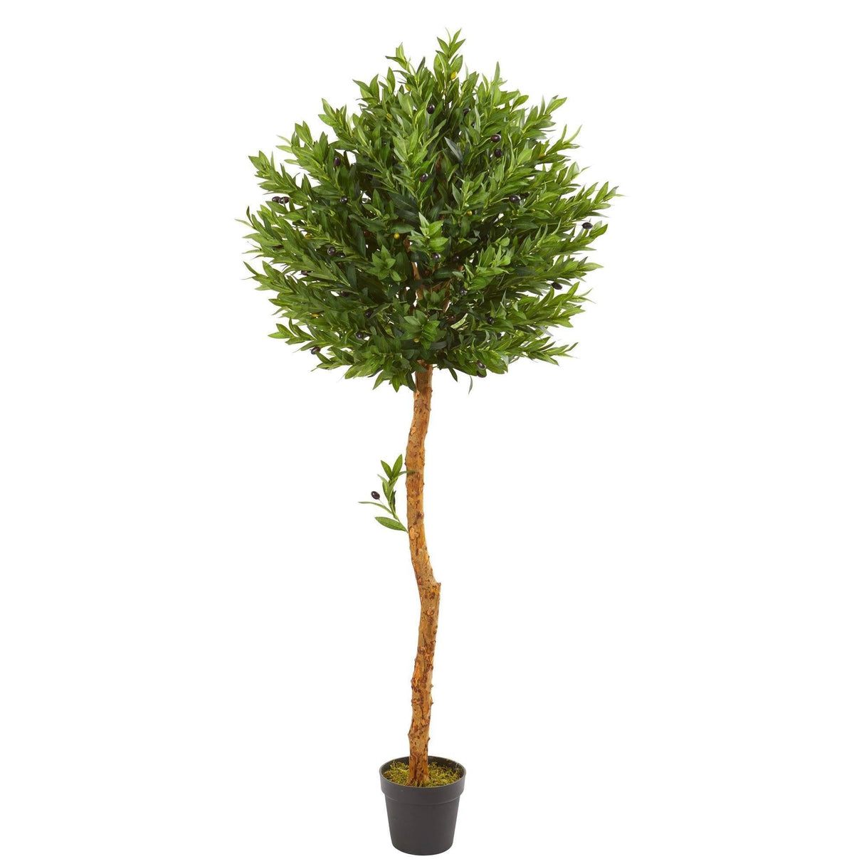 5.5’ Olive Topiary Artificial Tree UV Resistant (Indoor/Outdoor)-Parc Decor
