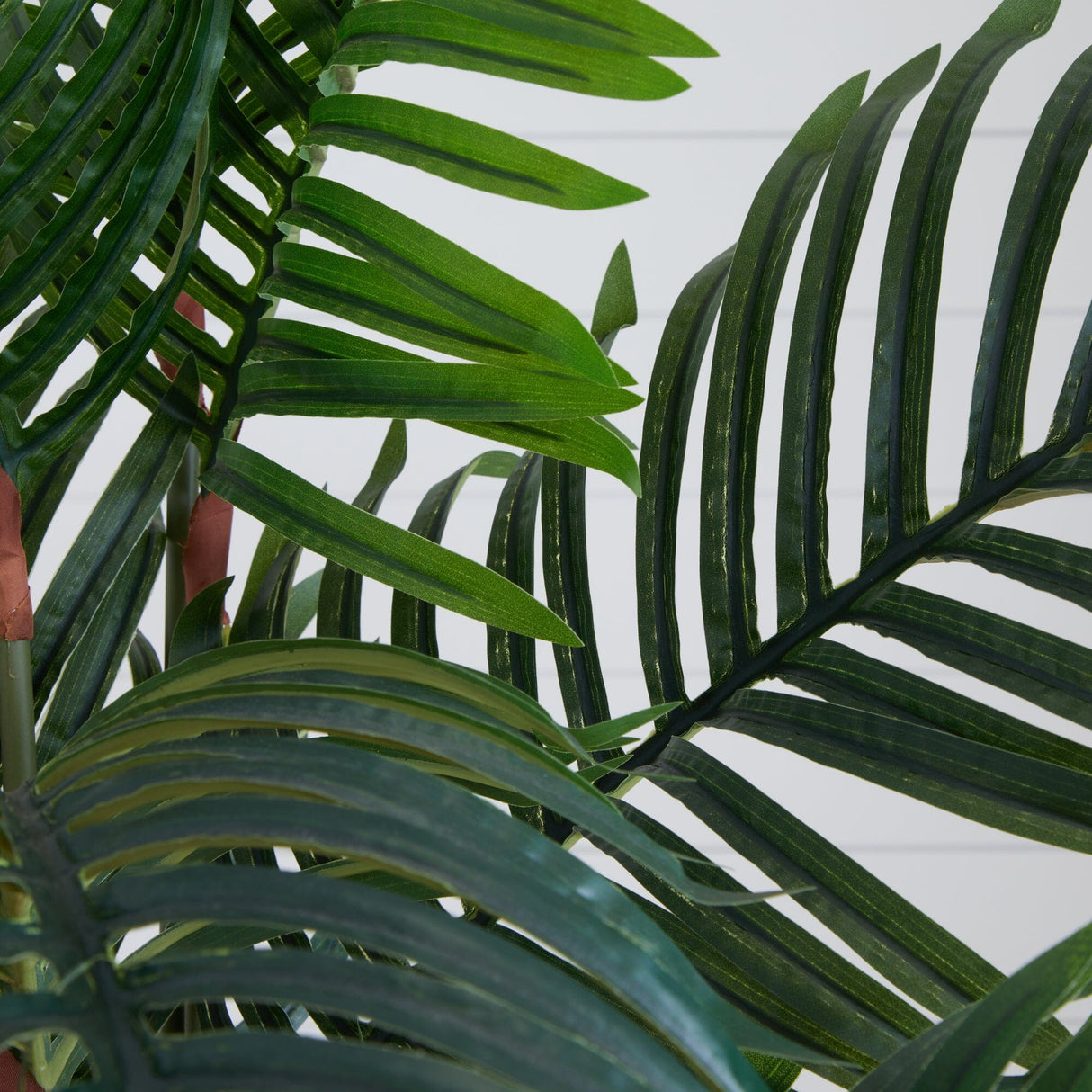 5.5’ Paradise Palm Artificial Tree in Square Planter-Parc Decor