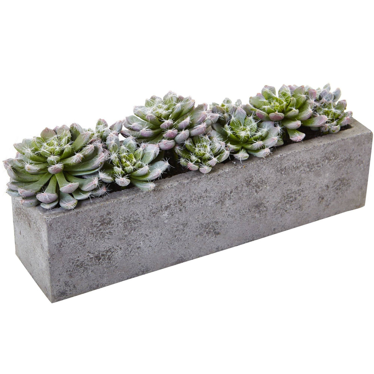 5.5” Succulent Garden w/Textured Concrete Planter-Parc Decor