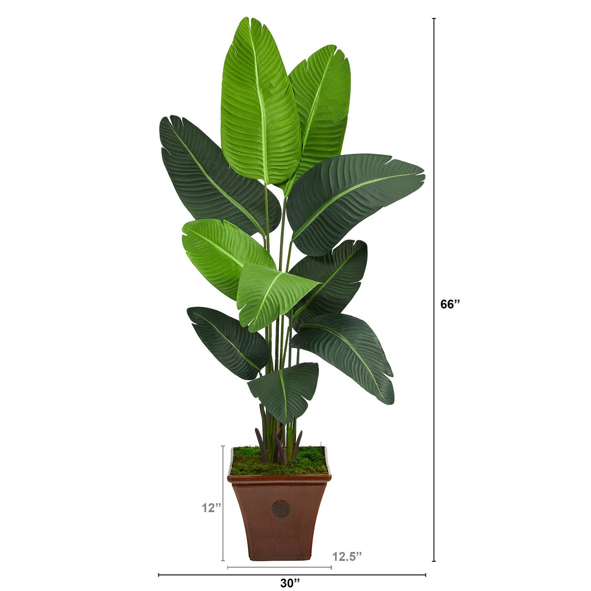 5.5’ Travelers Palm Artificial Tree in Brown Planter-Parc Decor