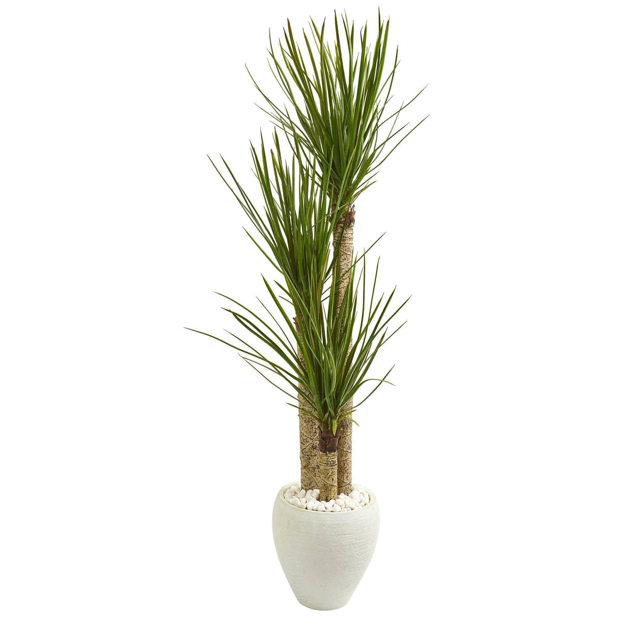 5.5’ Yucca Artificial Tree in White Planter-Parc Decor