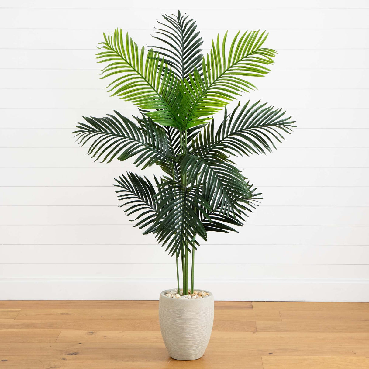 5.5’ Paradise Artificial Palm Tree in Sand Colored Planter-Tree-Parc Decor