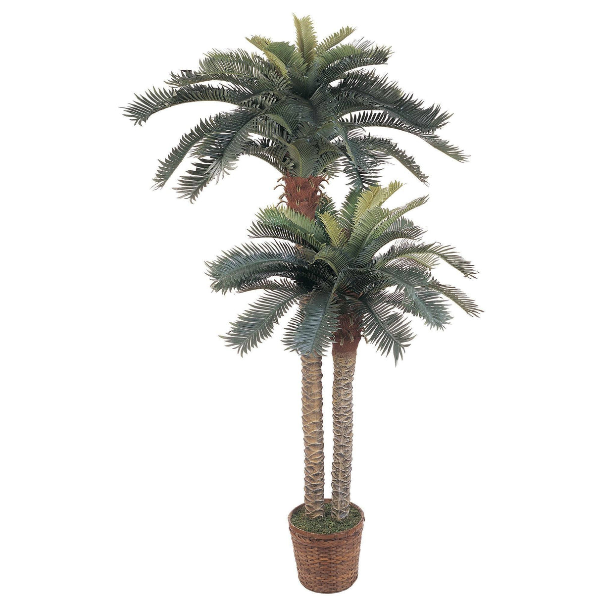 6' & 4' Sago Palm Double Potted Silk Tree-Parc Decor