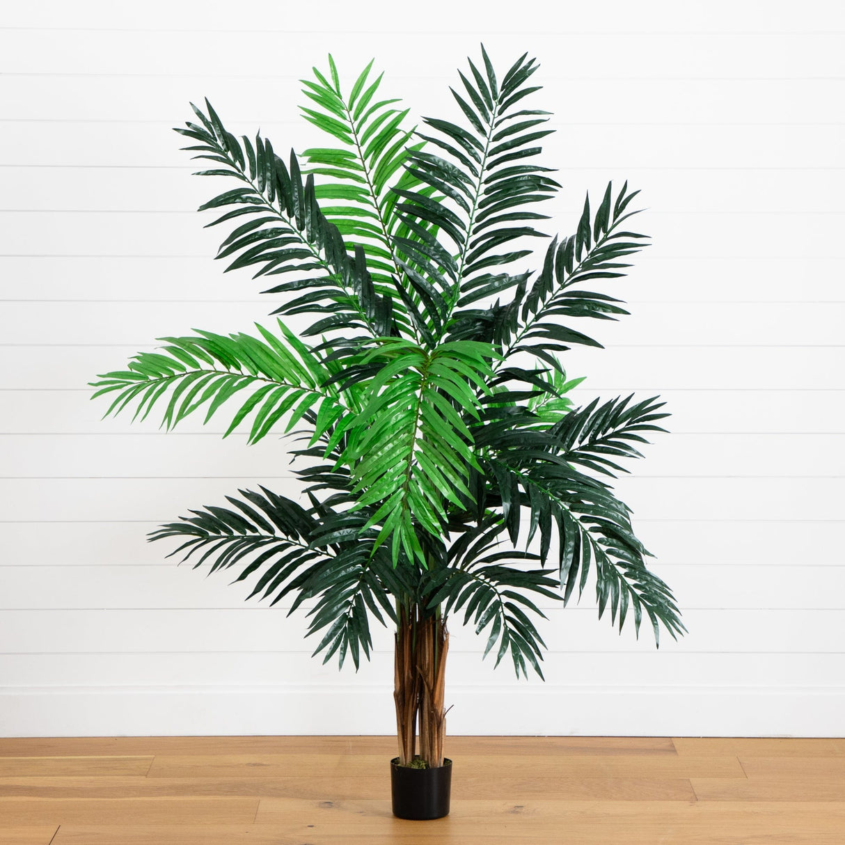 6’ Areca Palm Tree-Parc Decor