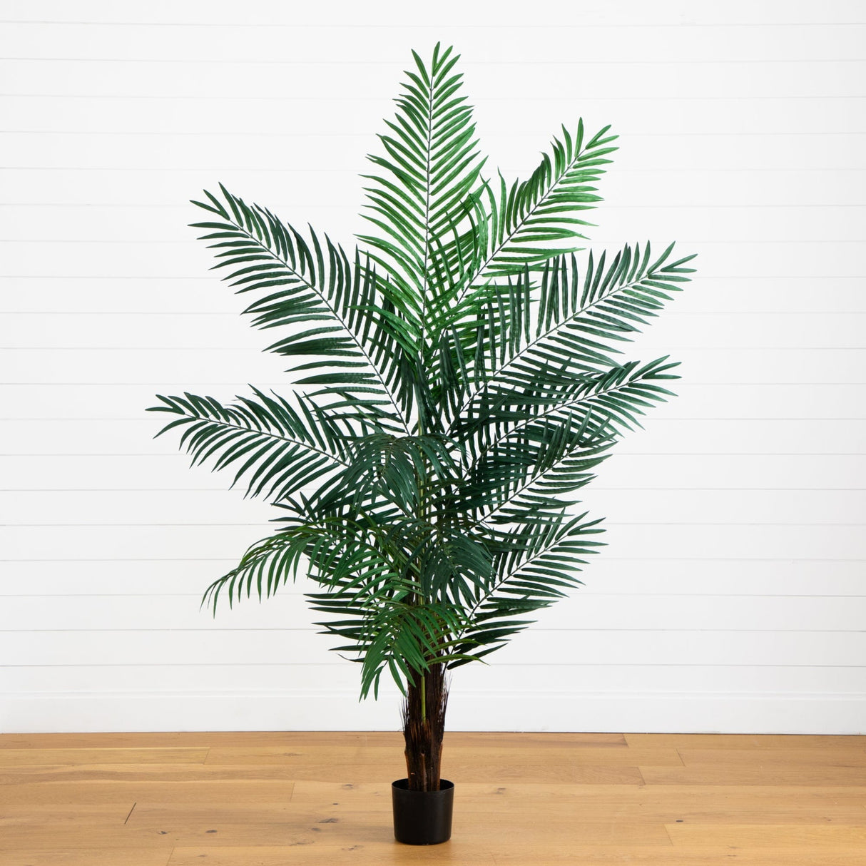 6’ Areca Palm Tree-Parc Decor