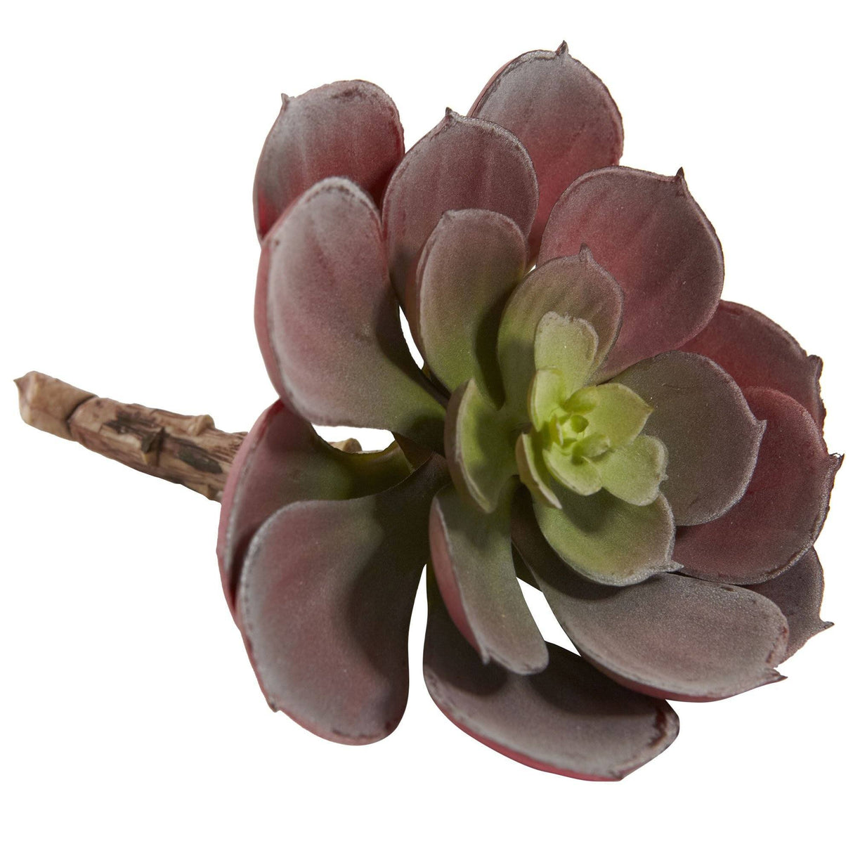6” Artificial Echeveria Succulent (Set of 12)-Parc Decor