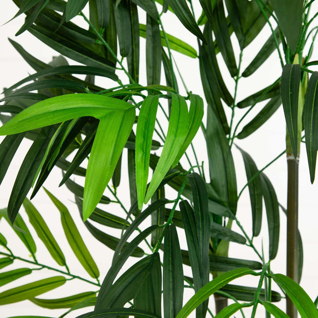 6' Artificial Green Bamboo Palm Silk Tree-Parc Decor