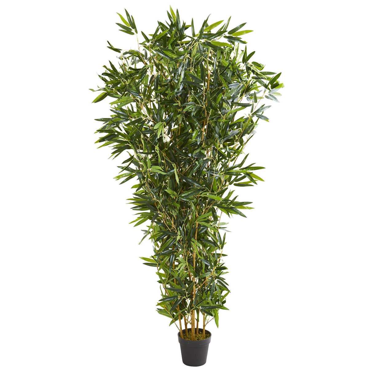 6’ Bamboo Artificial Tree (Real Touch) UV Resistant (Indoor/Outdoor)-Parc Decor