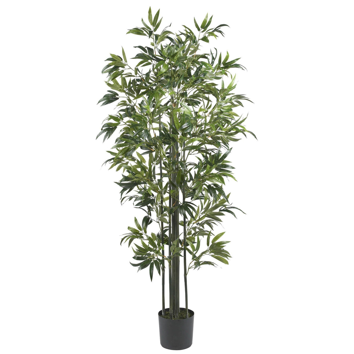 6' Bamboo Silk Tree (Green Trunks)-Parc Decor