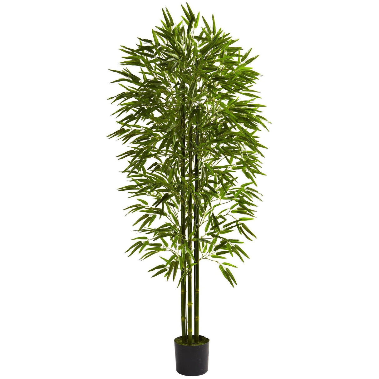 6' Bamboo Tree UV Resistant (Indoor/Outdoor)-Parc Decor