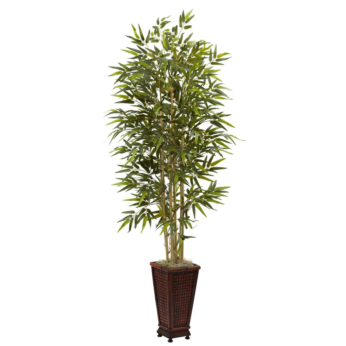 6’ Bamboo Tree w/Decorative Planter-Parc Decor