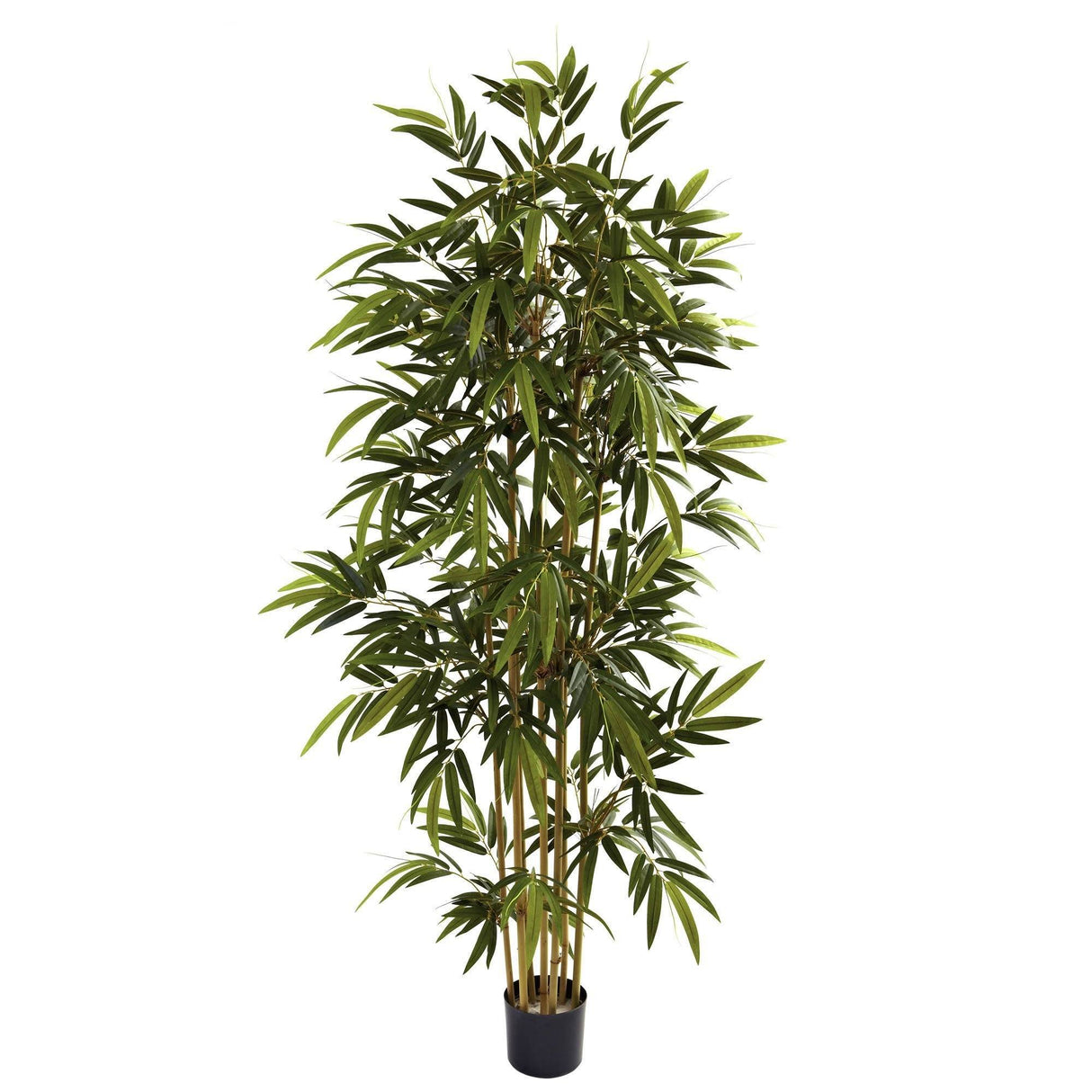 6' Bamboo Tree-Parc Decor