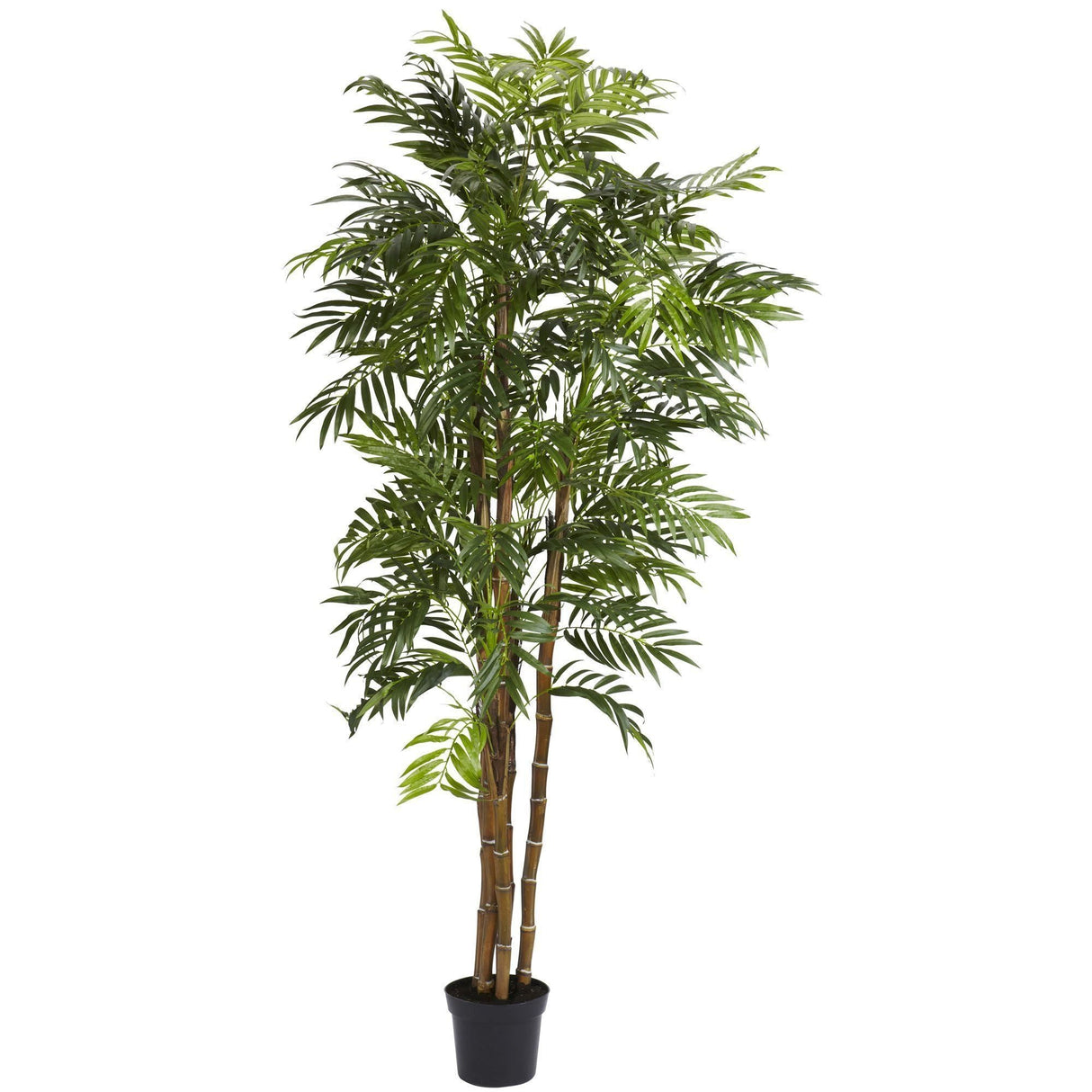 6' Bella Palm Silk Tree-Parc Decor