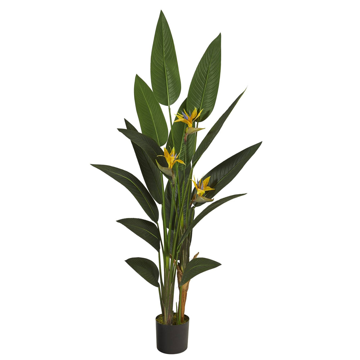 6’ Bird of Paradise Artificial Plant-Parc Decor