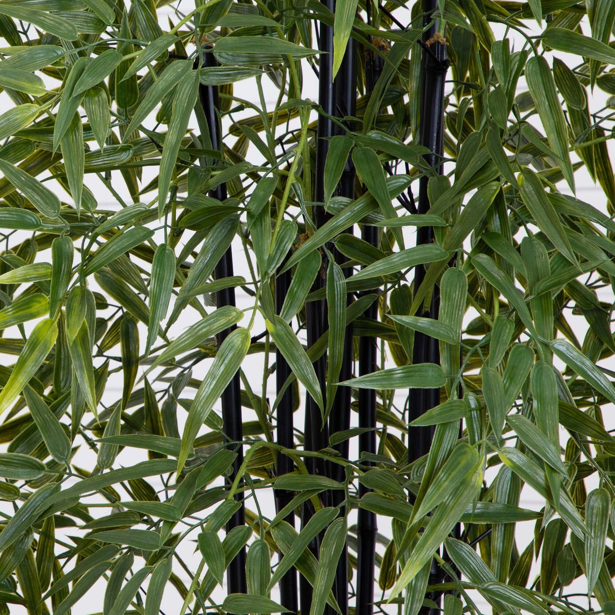 6' Black Bamboo Tree UV Resistant (Indoor/Outdoor)-Parc Decor