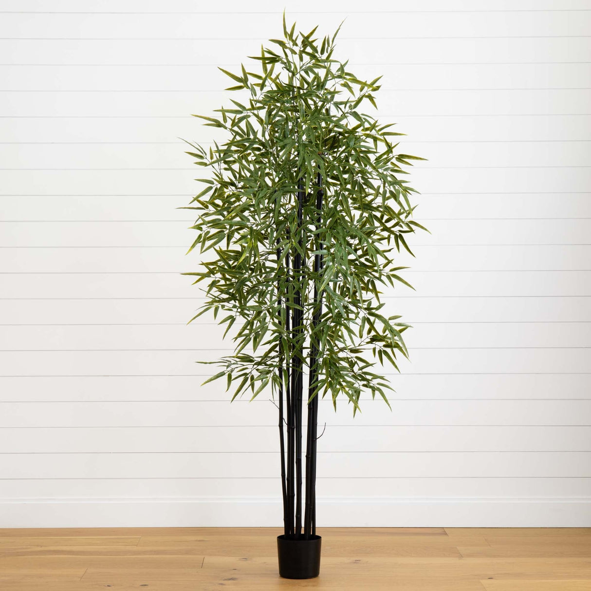 6' Black Bamboo Tree UV Resistant (Indoor/Outdoor)-Parc Decor