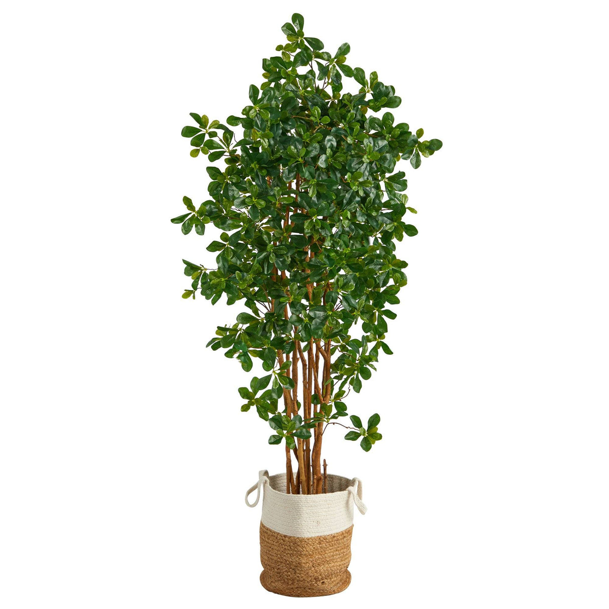 6’ Black Olive Artificial Tree in Handmade Natural Jute and Cotton Planter-Parc Decor