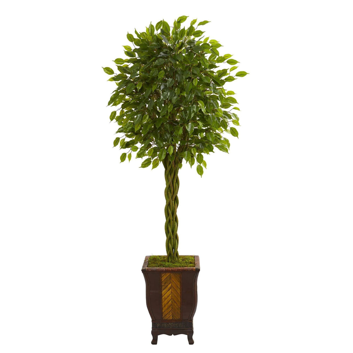 6’ Braided Ficus Artificial Tree in Decorative Planter-Parc Decor