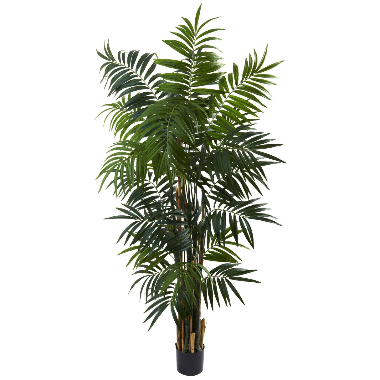 6’ Bulb Areca Palm Tree-Parc Decor