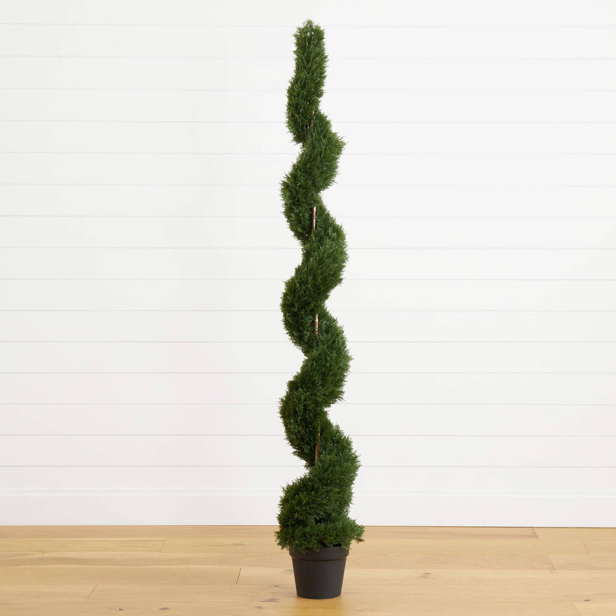 6' Cedar Spiral Silk Tree (In-door/Out-door)-Parc Decor
