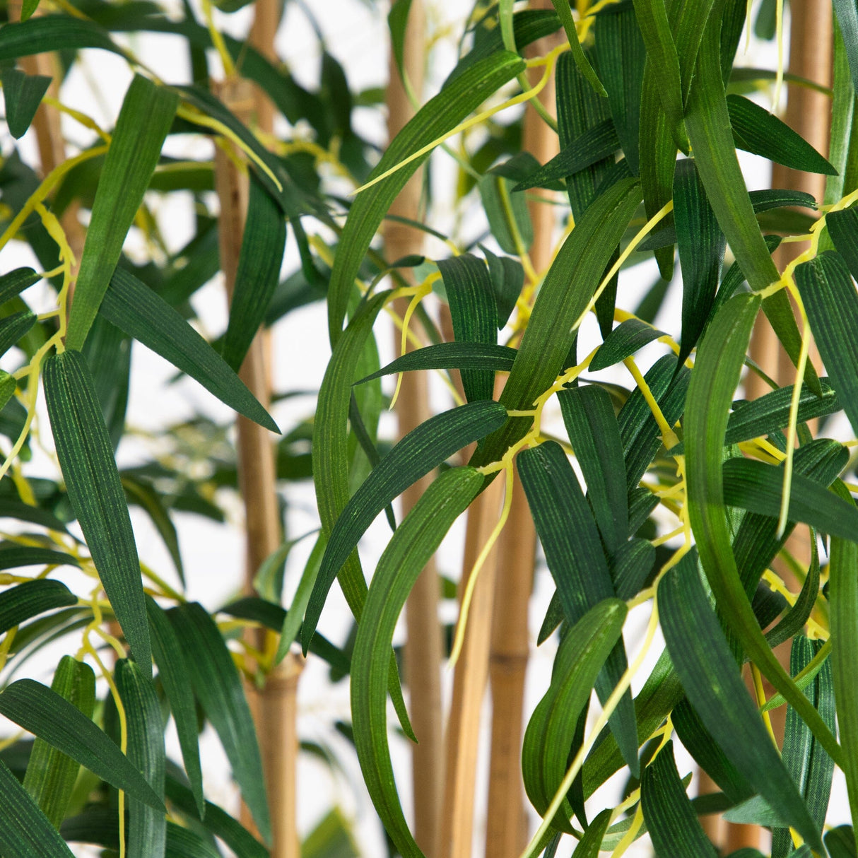 6' Fancy Style Slim Bamboo Silk Tree-Parc Decor