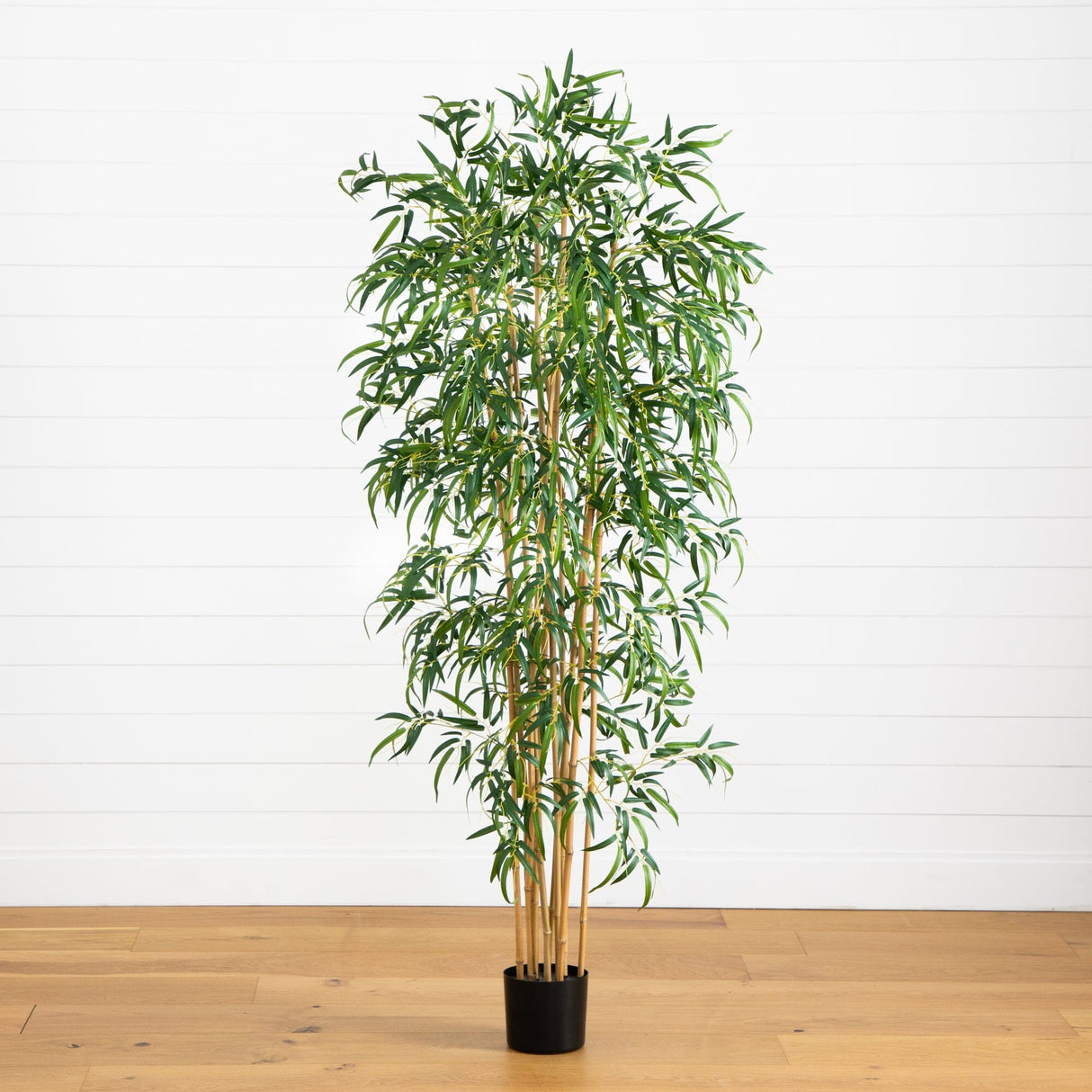 6' Fancy Style Slim Bamboo Silk Tree-Parc Decor