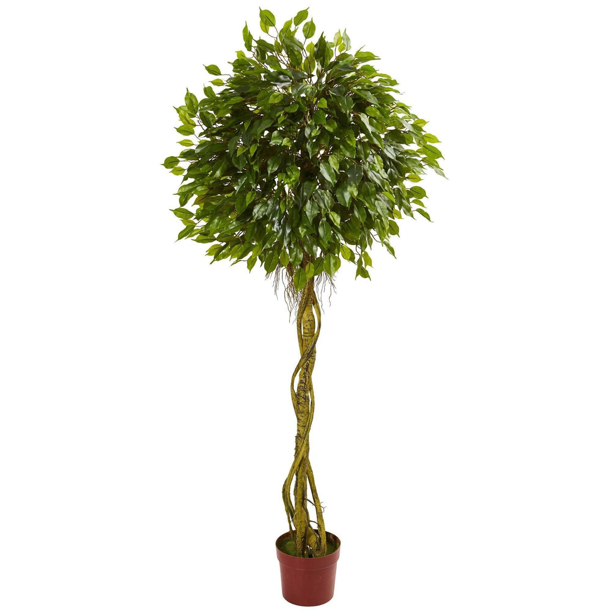 6' Ficus Artificial Topiary Tree UV Resistant (Indoor/Outdoor)-Parc Decor