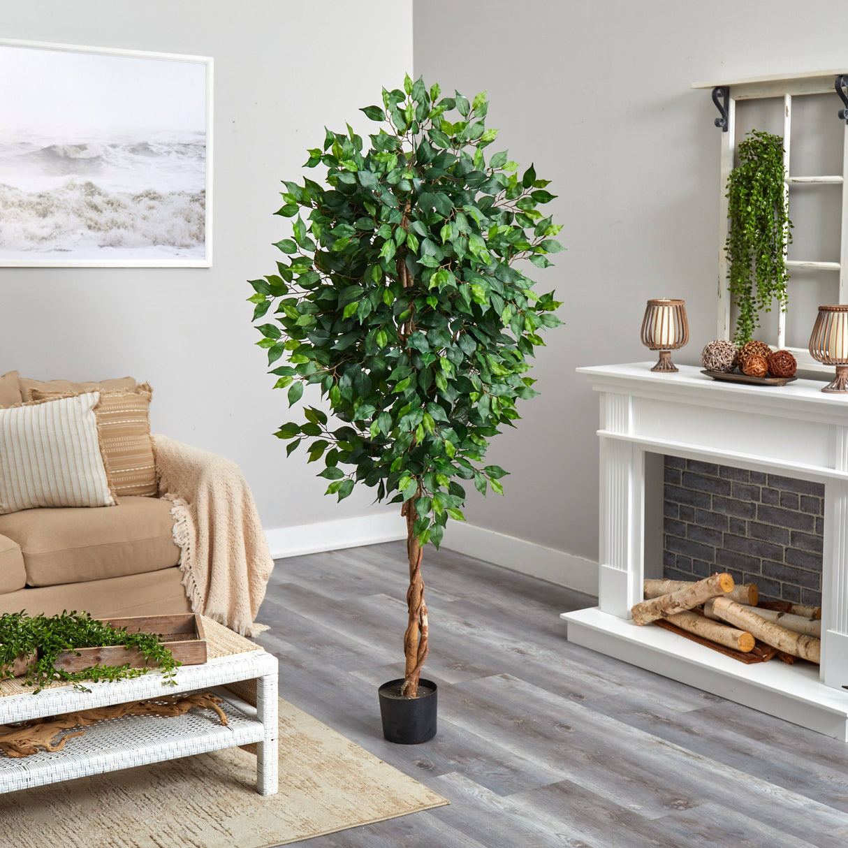 6’ Ficus Artificial Tree in Nursery Planter-Parc Decor