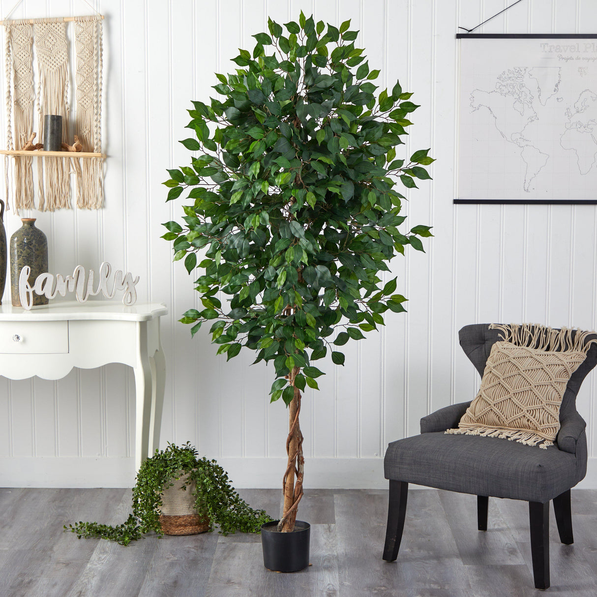 6’ Ficus Artificial Tree in Nursery Planter-Parc Decor