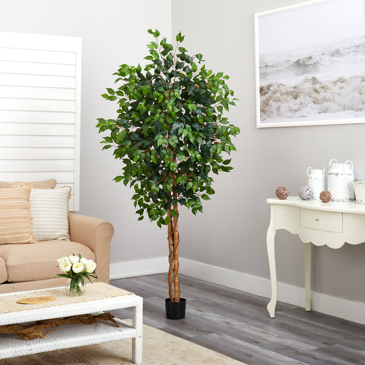 6' Ficus Silk Tree-Parc Decor