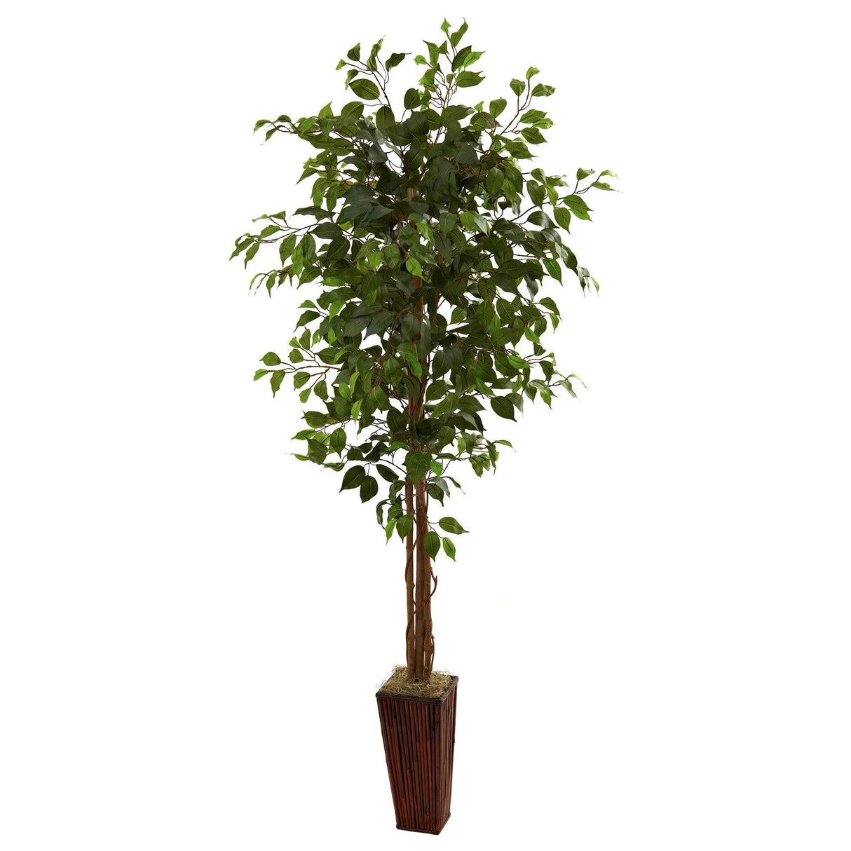 6' Ficus Tree w/Bamboo Planter-Parc Decor