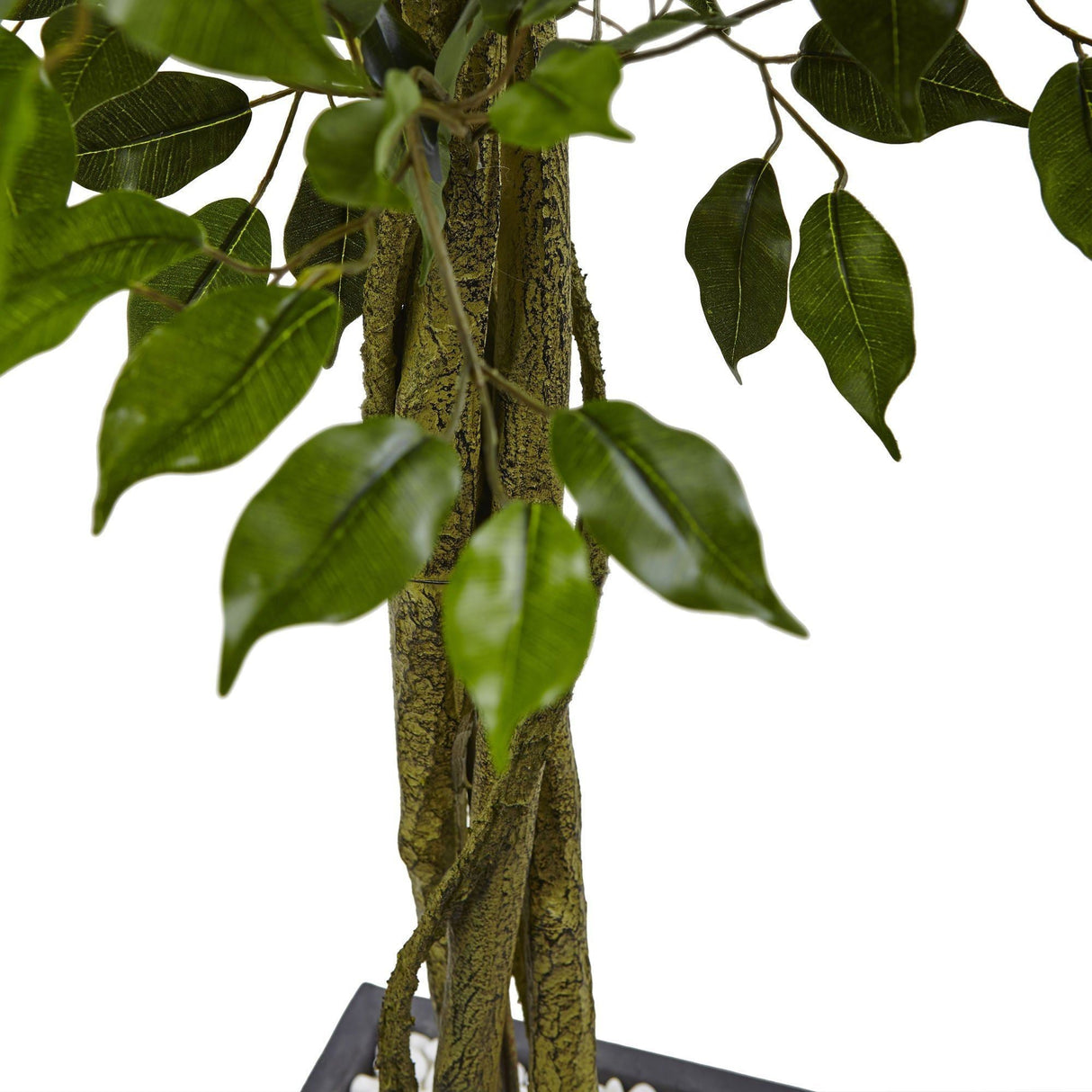 6' Ficus Tree with Slate Planter UV Resistant (Indoor Outdoor)-Parc Decor