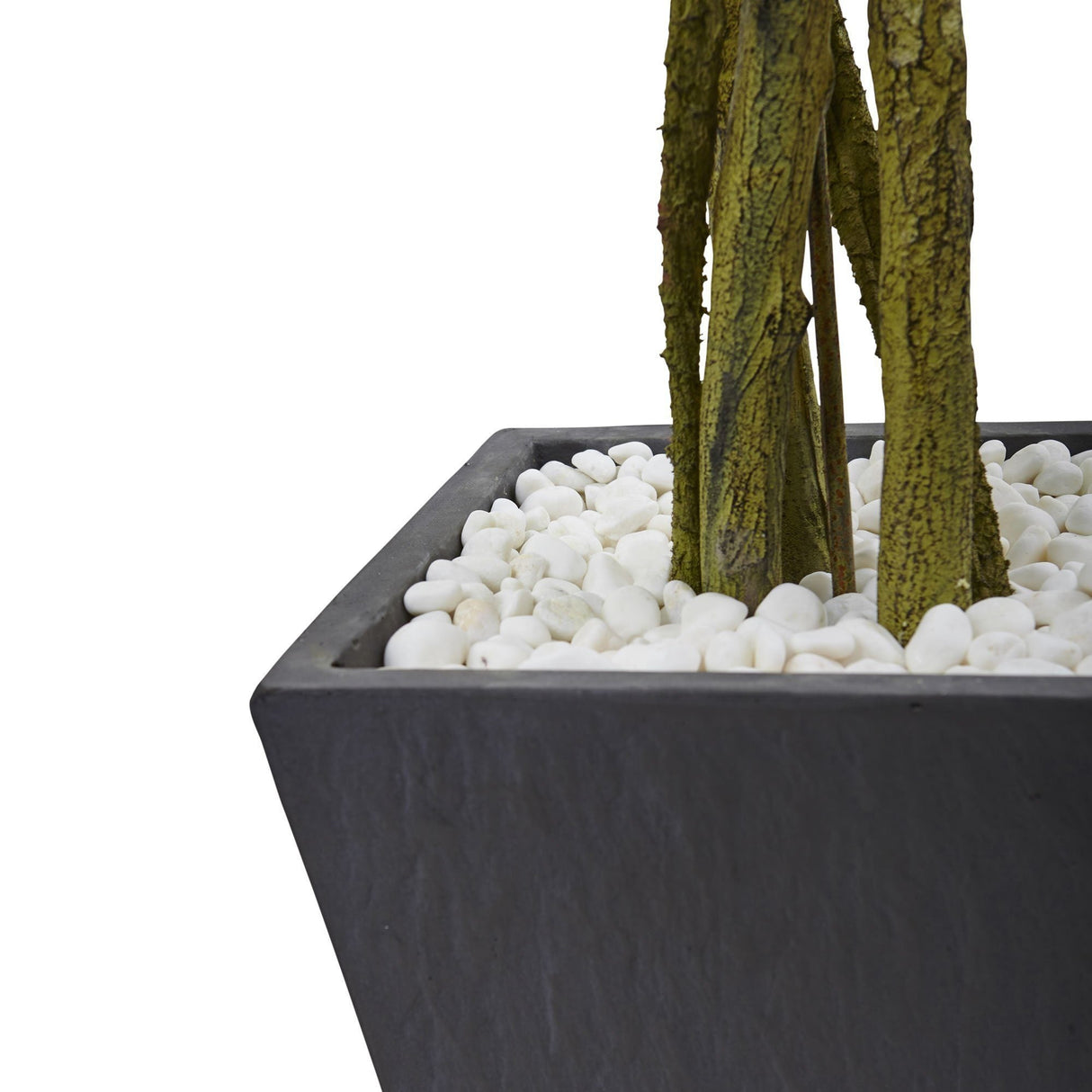 6' Ficus Tree with Slate Planter UV Resistant (Indoor Outdoor)-Parc Decor